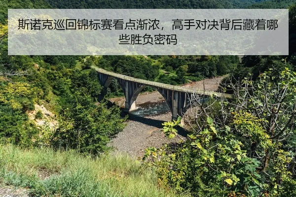 si-nuo-ke-xun-hui-jin-biao-sai-kan-dian-jian-nong-gao-shou-dui-jue-bei-hou-cang-zhe-na-xie-sheng-fu-mi-ma-3-222.jpg